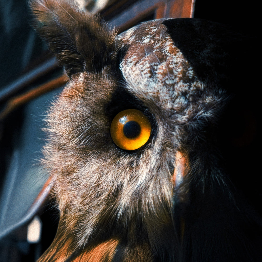 I’LL MEET YOU AGAIN AT “THE BITTER END”