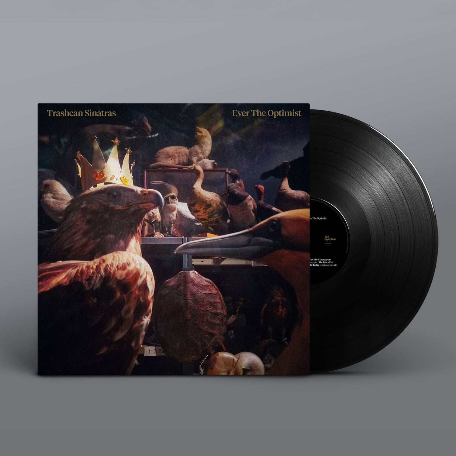 Vinyl record and cover on a gray background