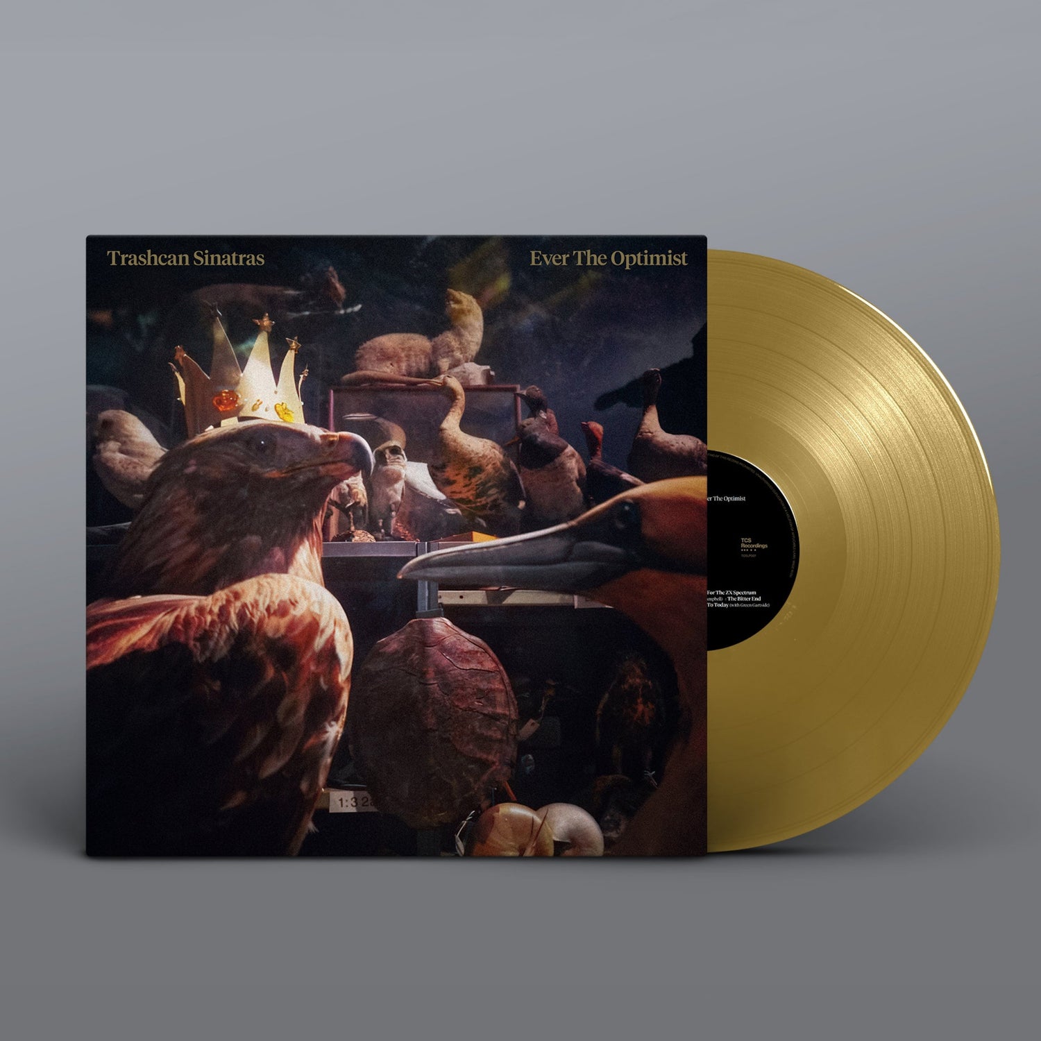 Vinyl record with a gold disc and cover on a gray background