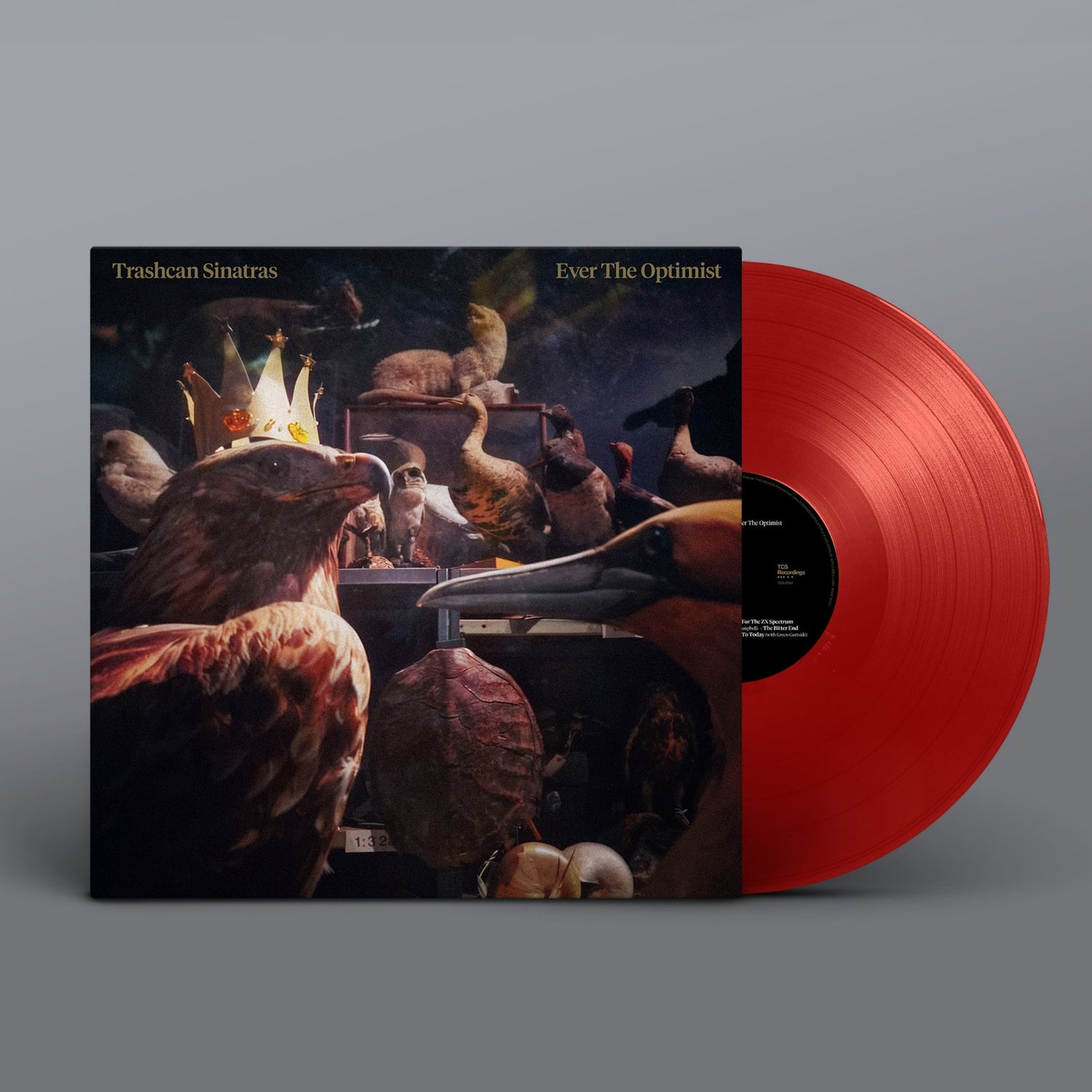 Red vinyl record and its cover on a gray background